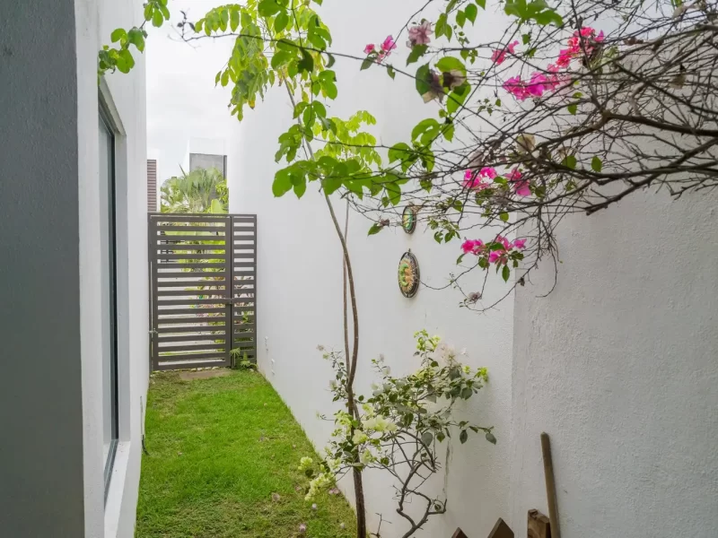 el-quelele-jardin-bougainvillea-acceso-01